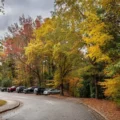 Why October To December Is Dublin’s Busiest Season To Sell Your Car For Cash