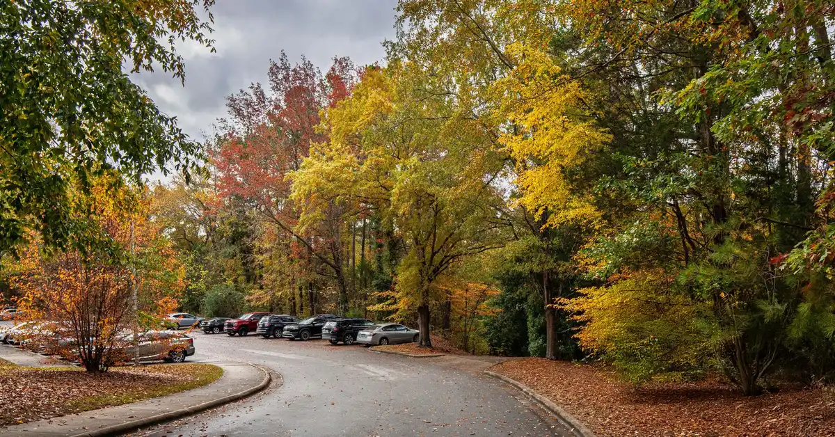 A picturesque road with vibrant fall foliage, showcasing vivid autumn colors under a cloudy sky